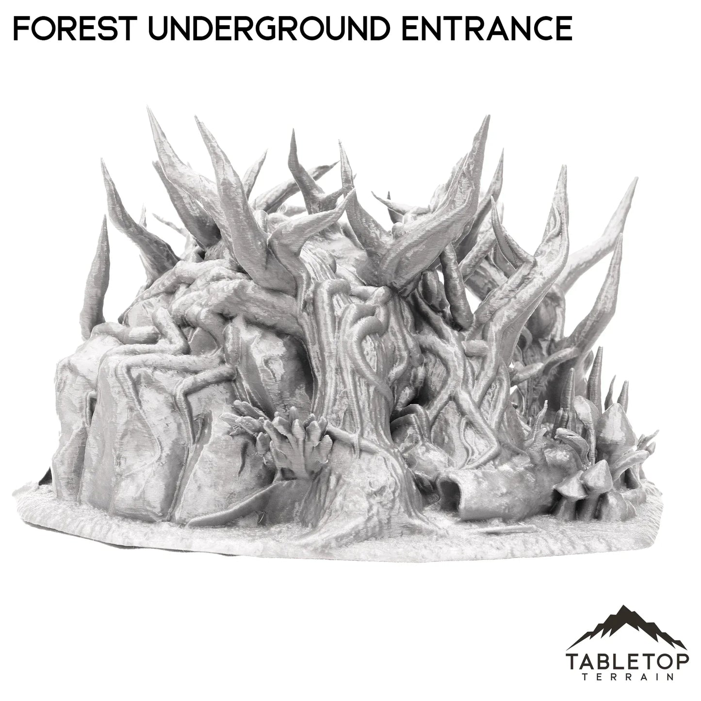 Forest Underground Entrance