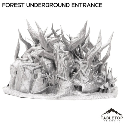 Forest Underground Entrance