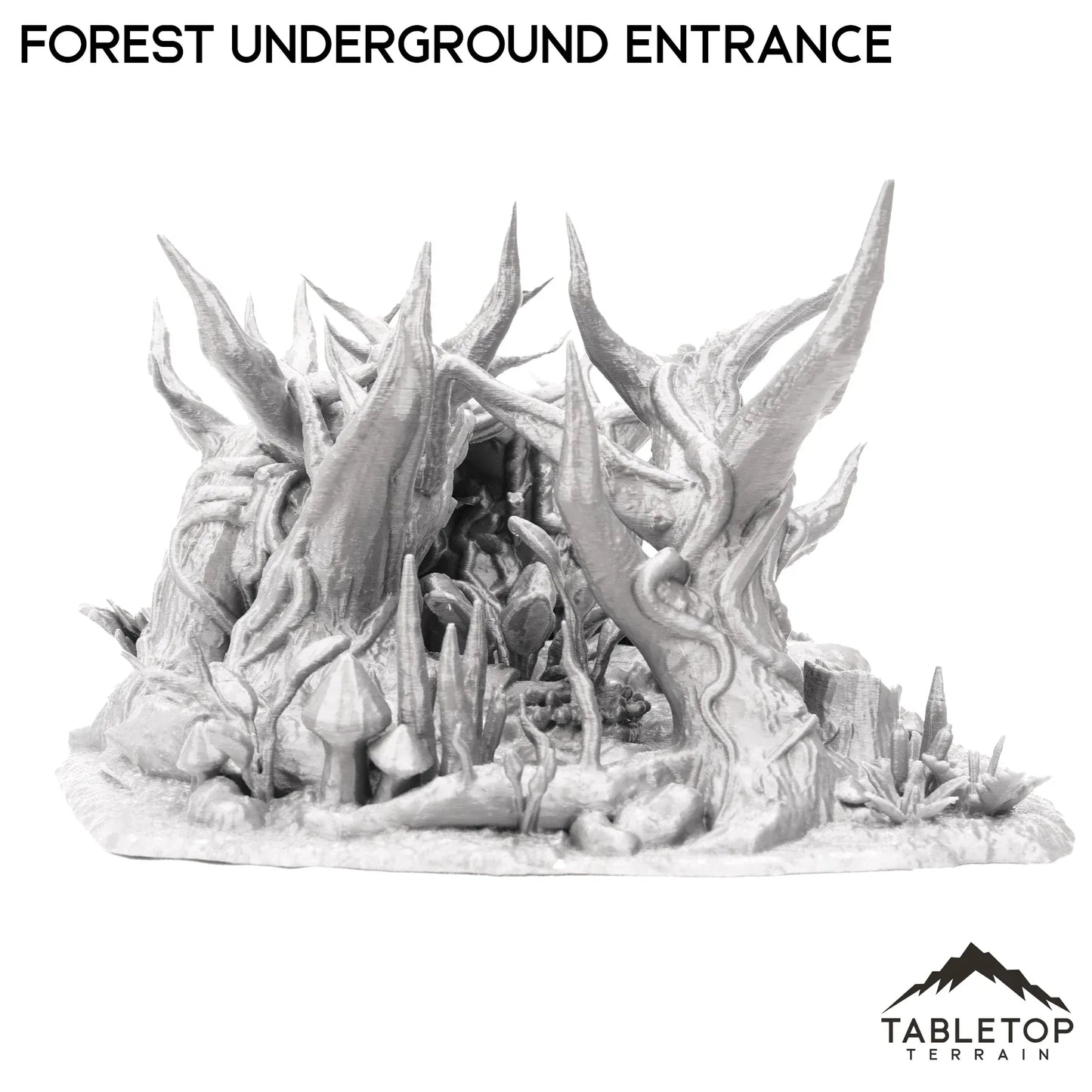 Forest Underground Entrance