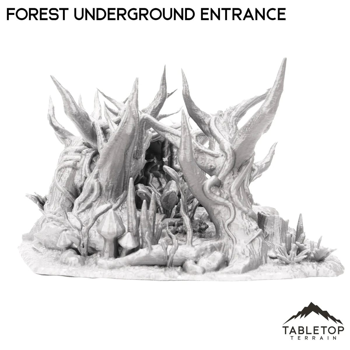Forest Underground Entrance