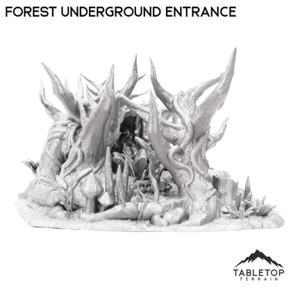 Forest Underground Entrance