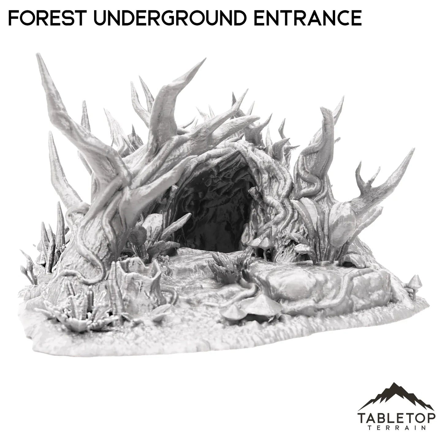 Forest Underground Entrance
