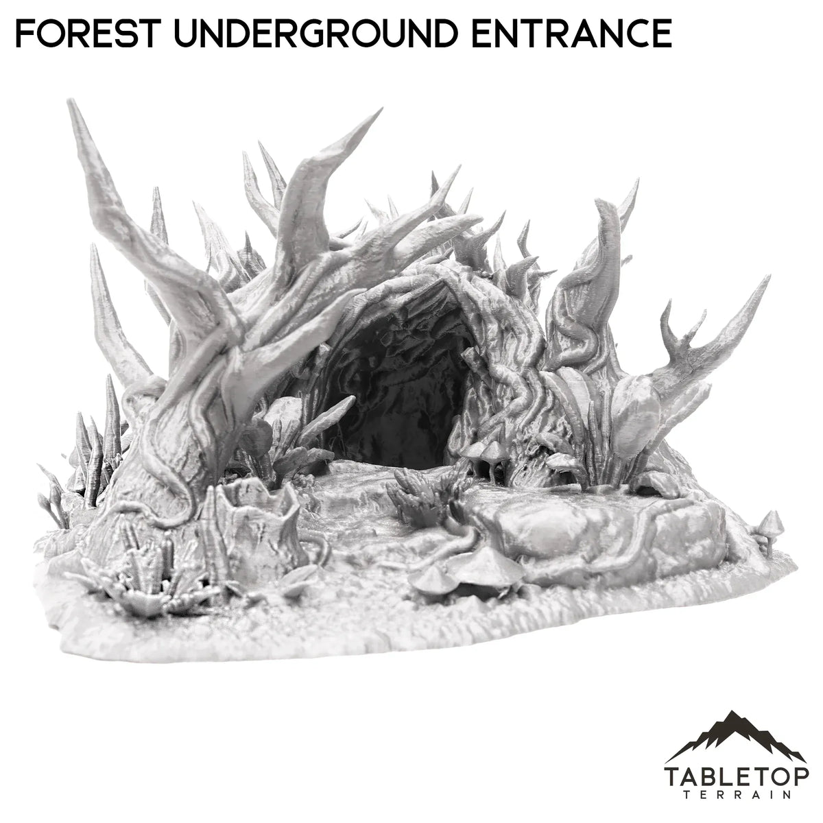 Forest Underground Entrance