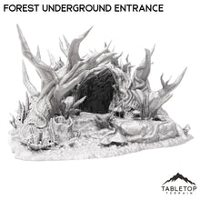 Forest Underground Entrance
