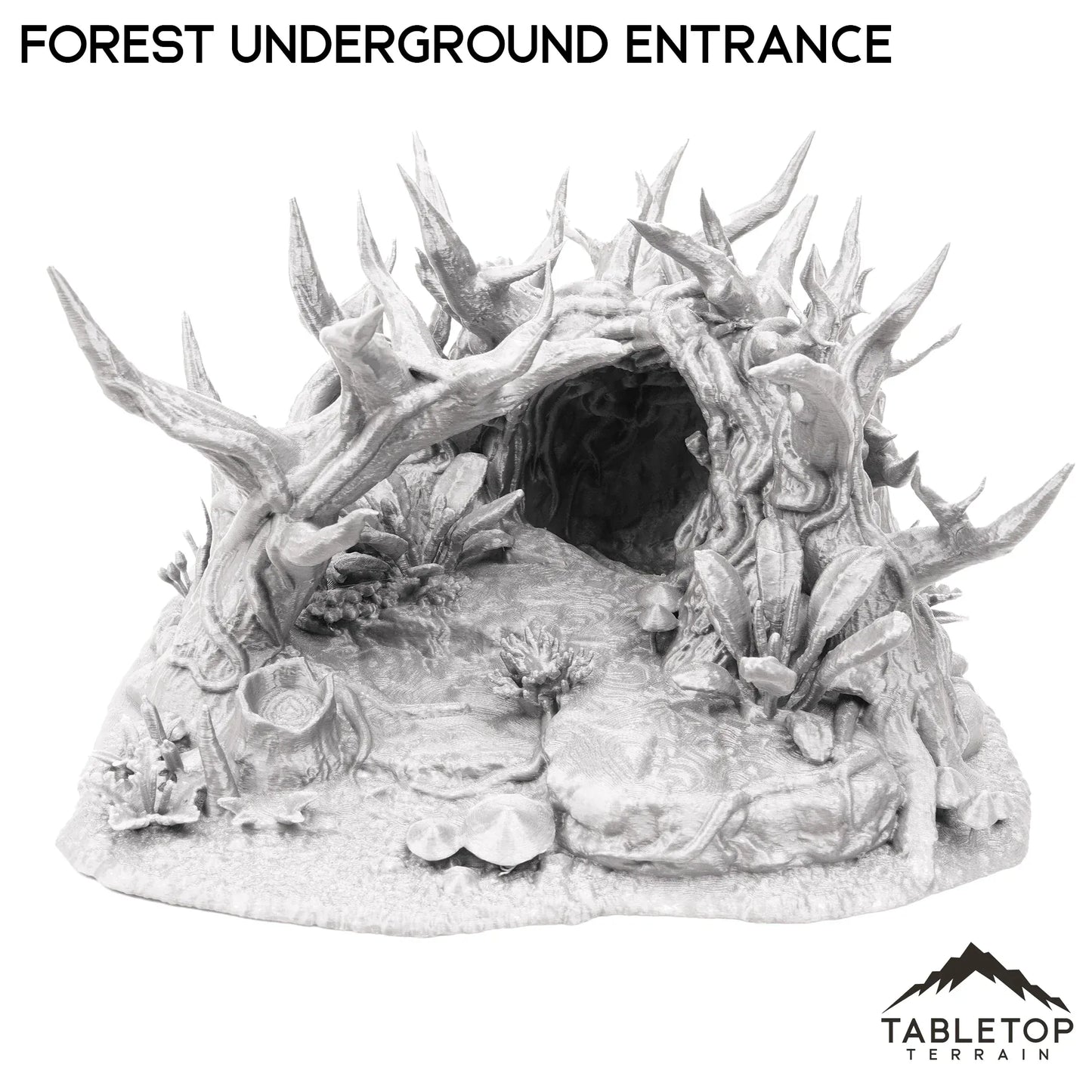 Forest Underground Entrance