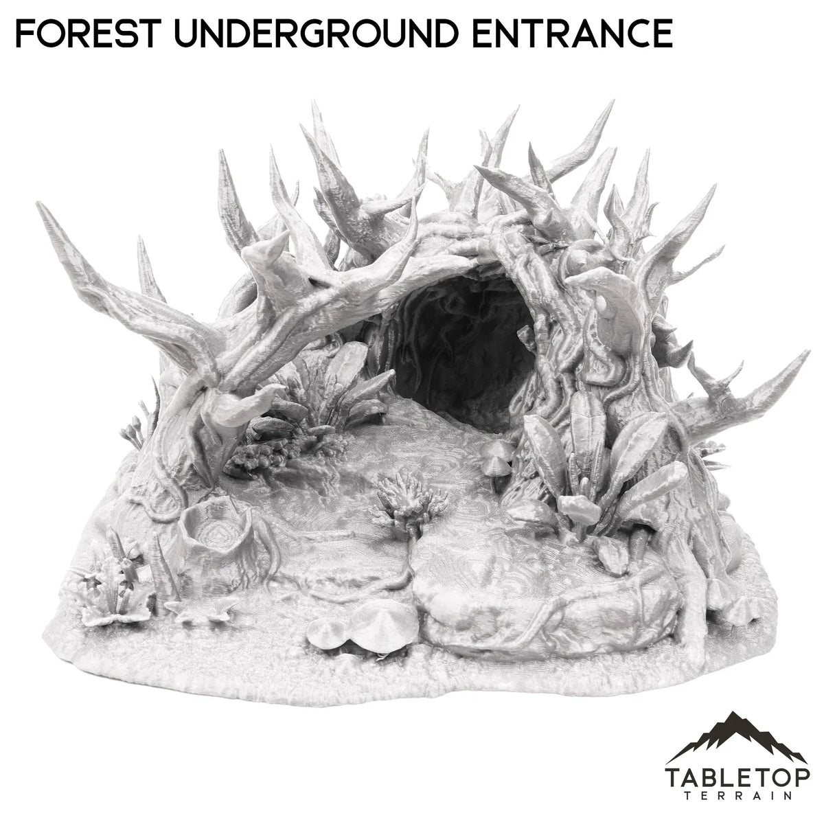 Forest Underground Entrance
