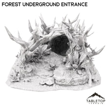 Forest Underground Entrance