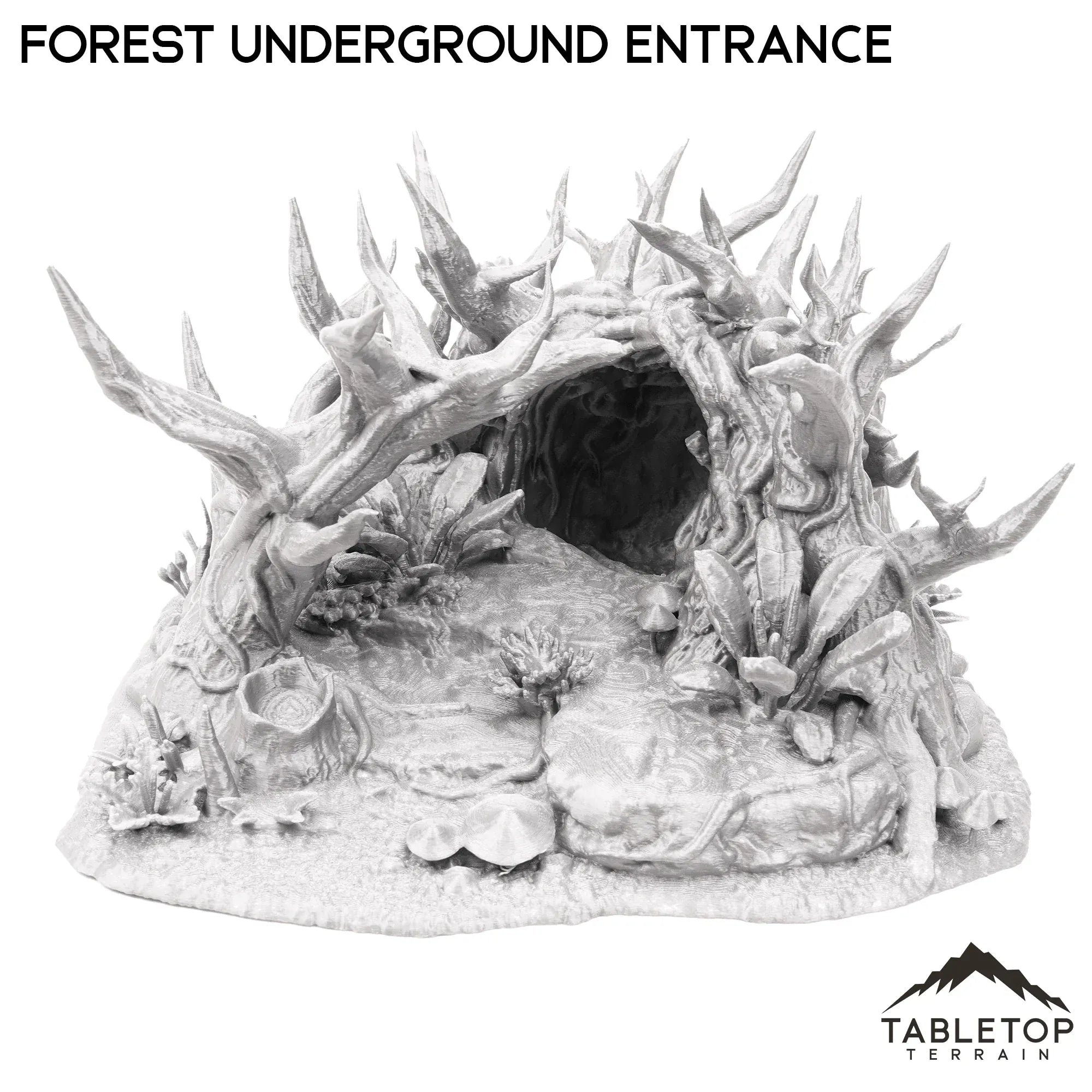 Forest Underground Entrance
