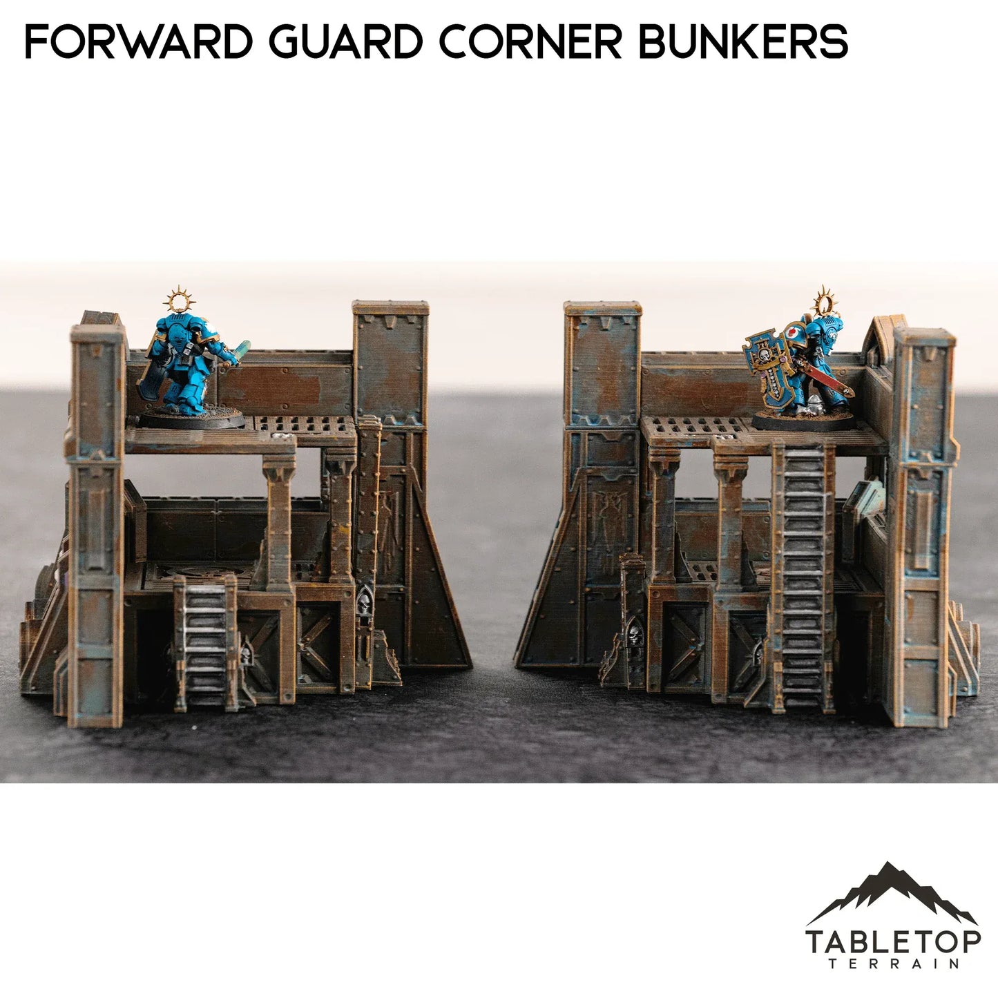 Forward Guard Corner Bunker Pair