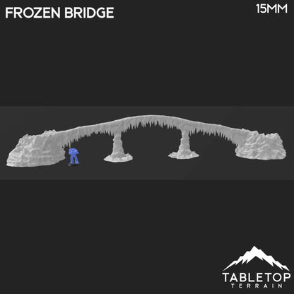 Frozen Bridge