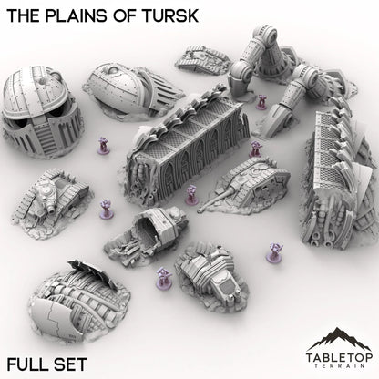 The Plains of Tursk
