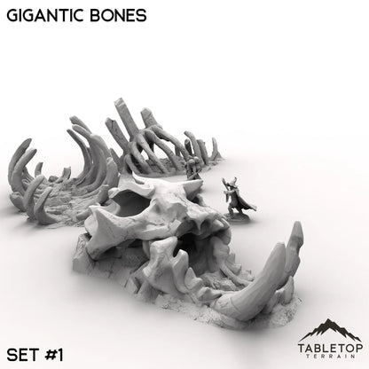 Gigantic Bones