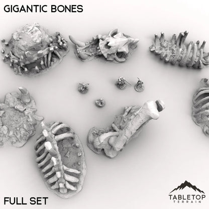 Gigantic Bones