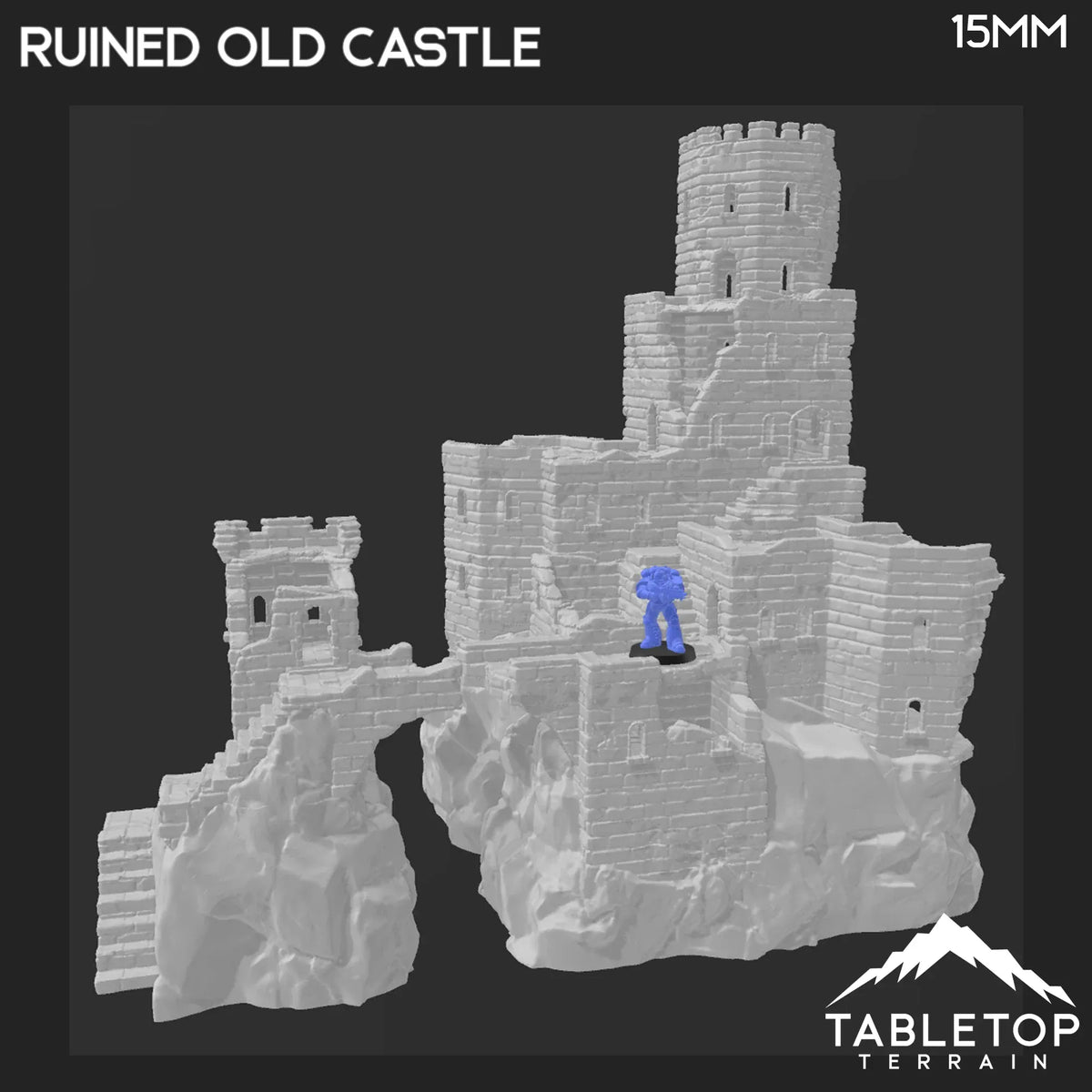 Ruined Old Castle