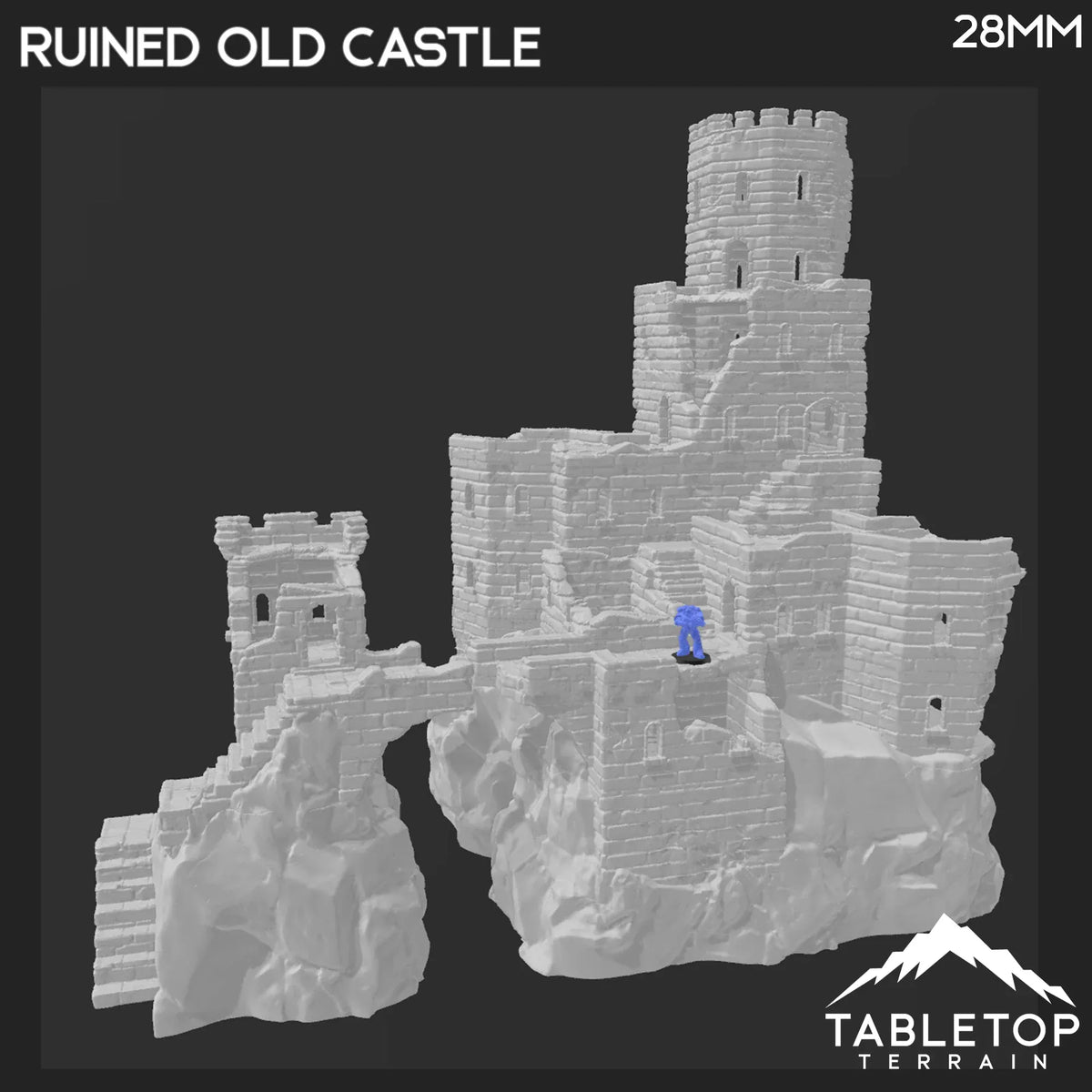 Ruined Old Castle