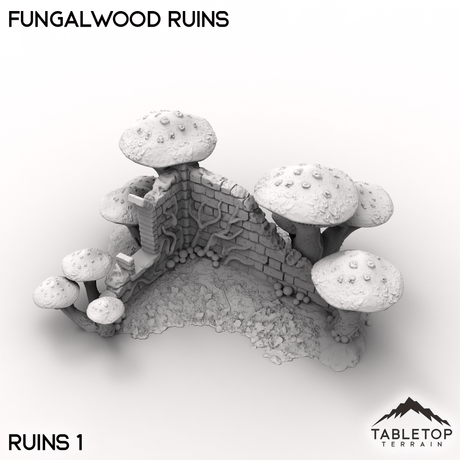 Fungalwood Ruins