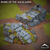 Ruins of the Wildlands