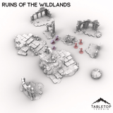 Ruins of the Wildlands