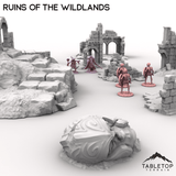 Ruins of the Wildlands