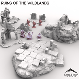 Ruins of the Wildlands