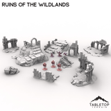 Ruins of the Wildlands