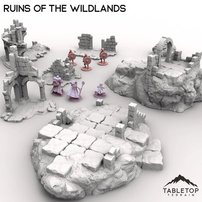 Ruins of the Wildlands