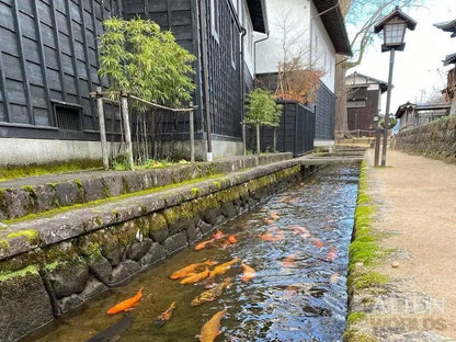 Samurai Street Fish Ponds