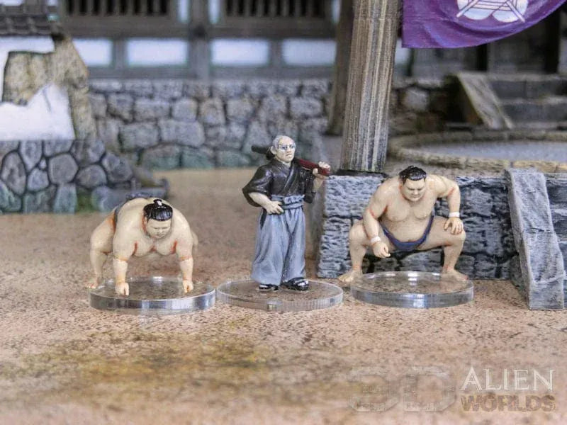 Samurai Sumo Ring