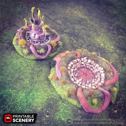 Sarlacc Pit
