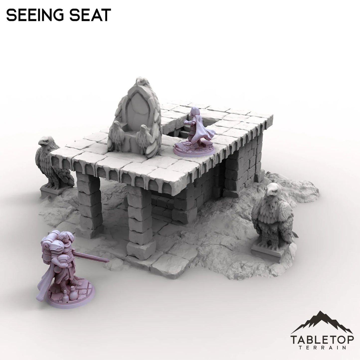 Seeing Seat