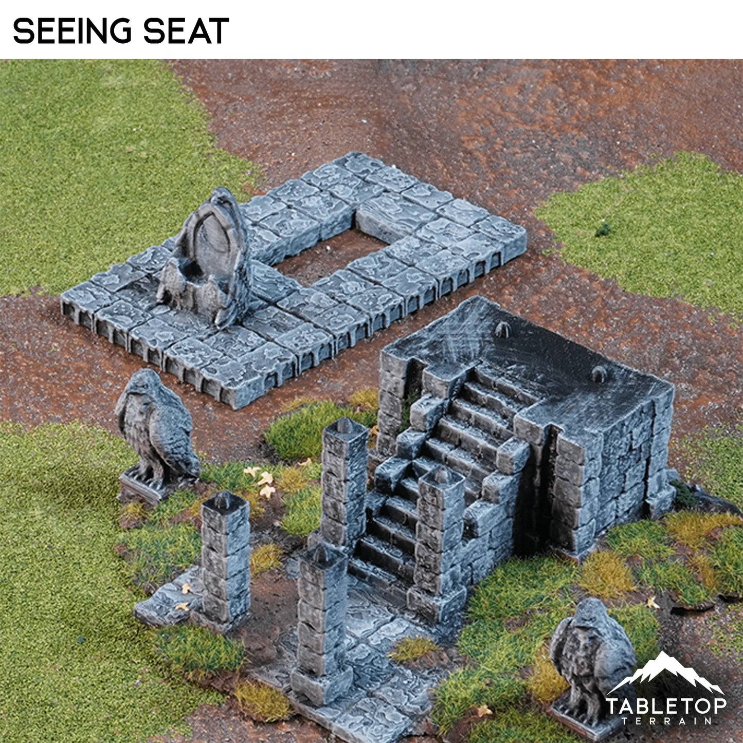 Seeing Seat