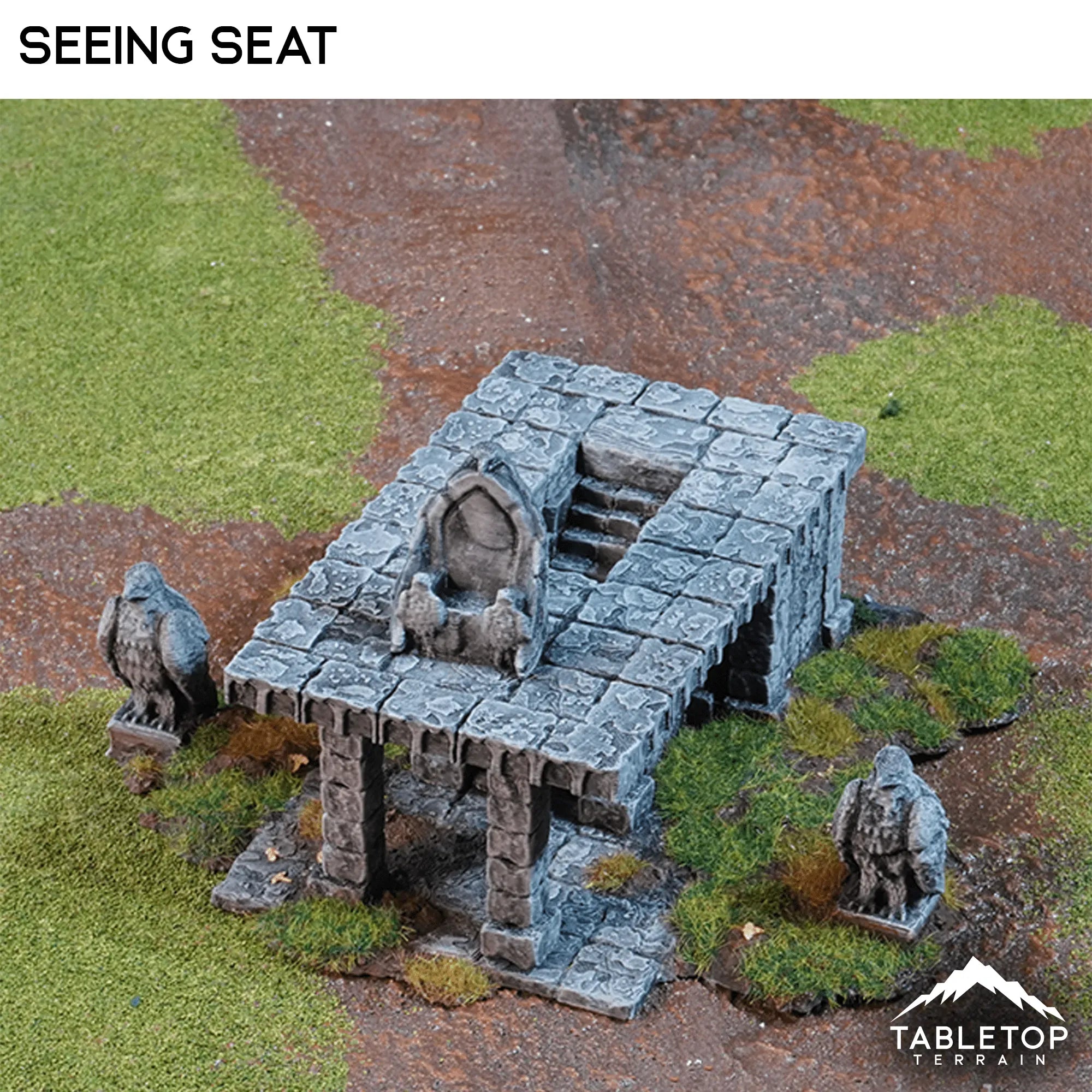 Seeing Seat