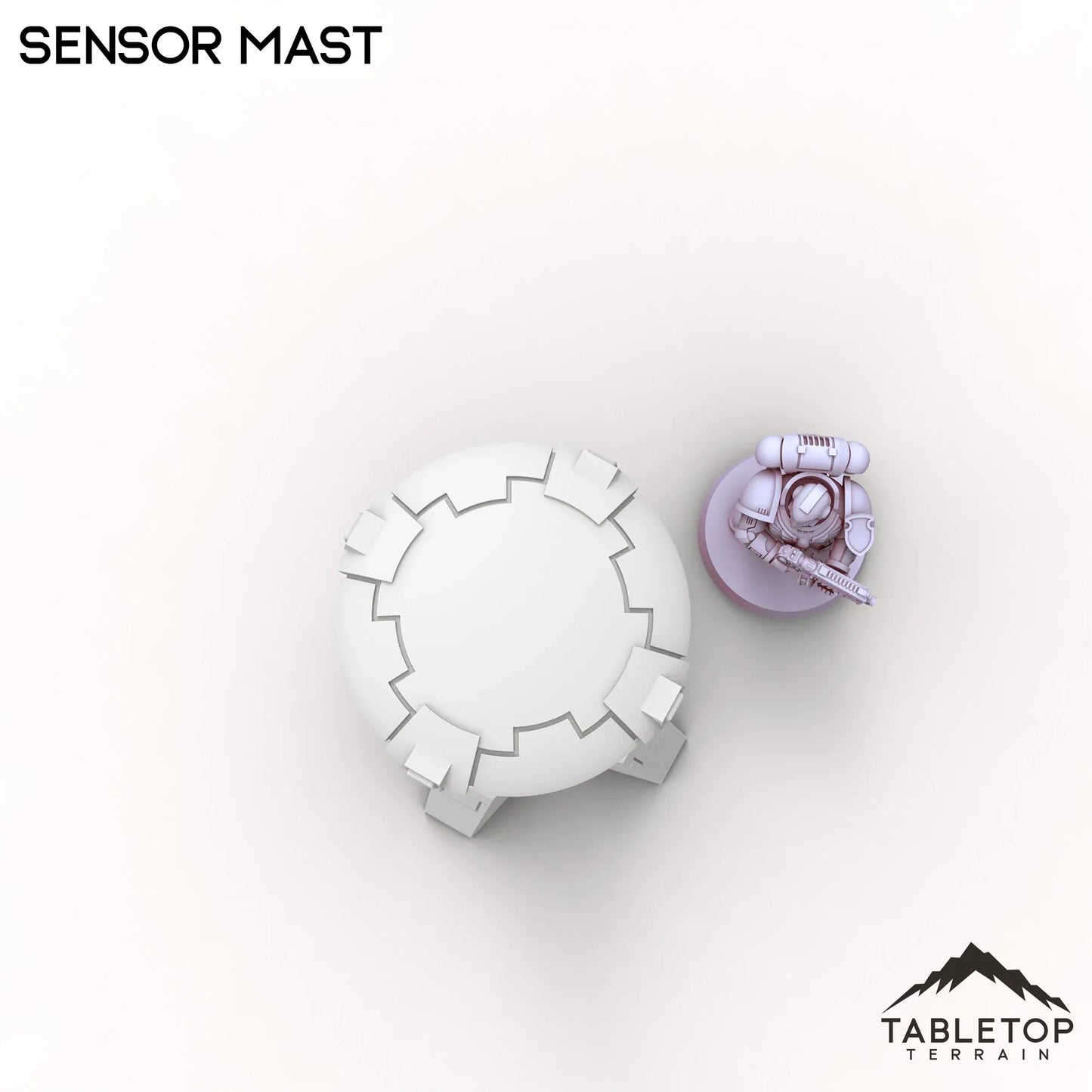 Sensor Mast
