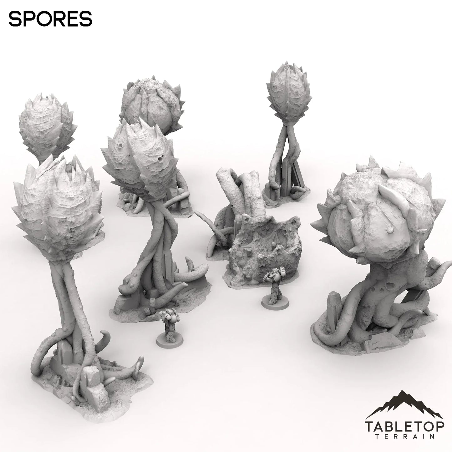 Spores