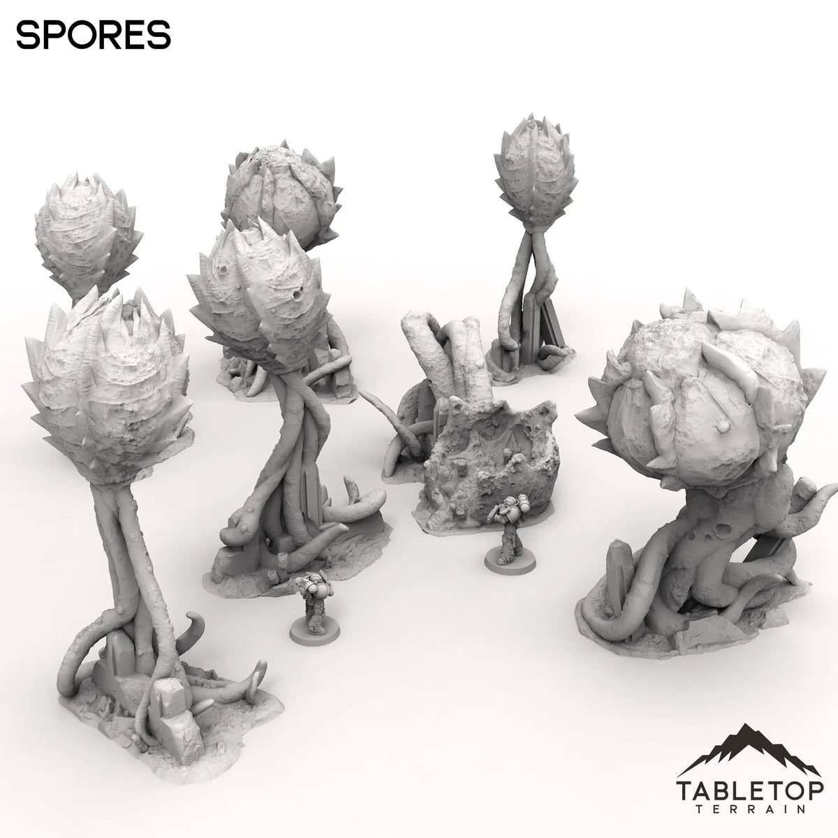 Spores