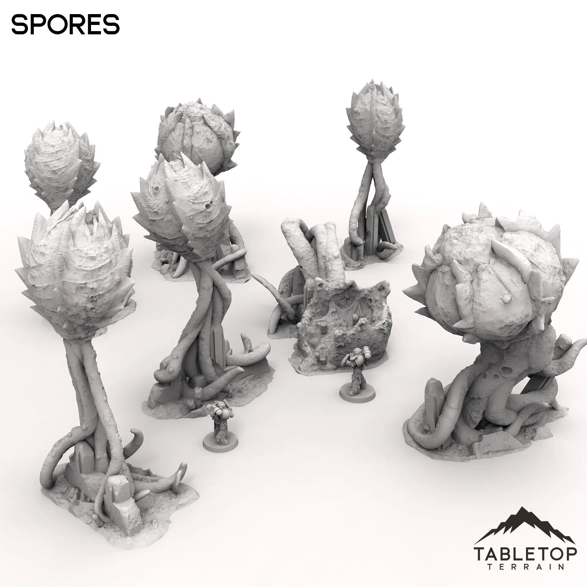 Spores