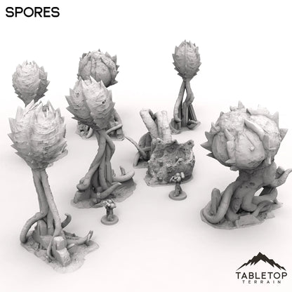 Spores