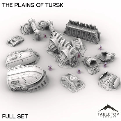 The Plains of Tursk