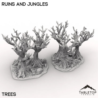 Competitive Fantasy Ruins and Jungles