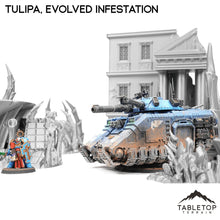 Tulipa, Evolved Infestation