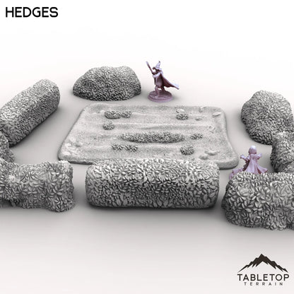 Vexed Village - Hedges
