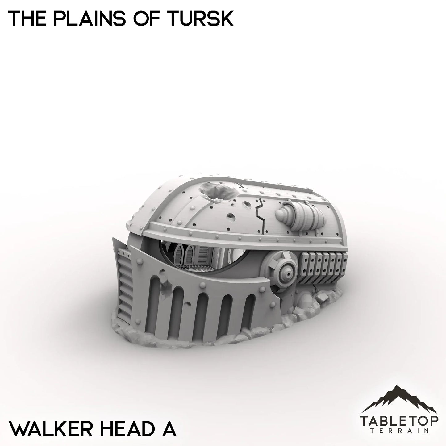 The Plains of Tursk