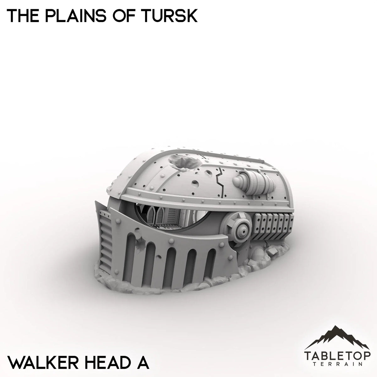 The Plains of Tursk