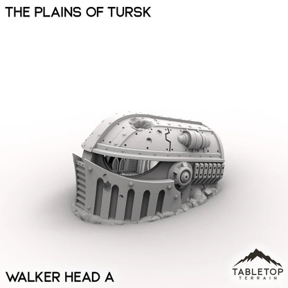The Plains of Tursk