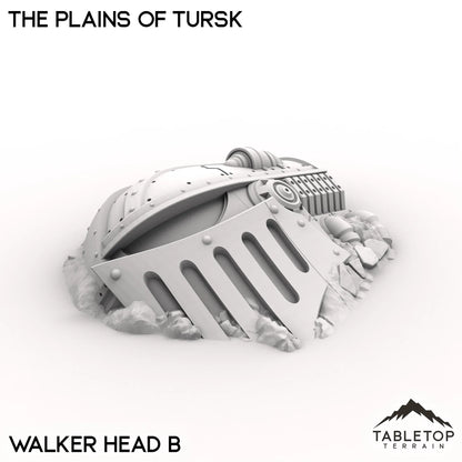 The Plains of Tursk