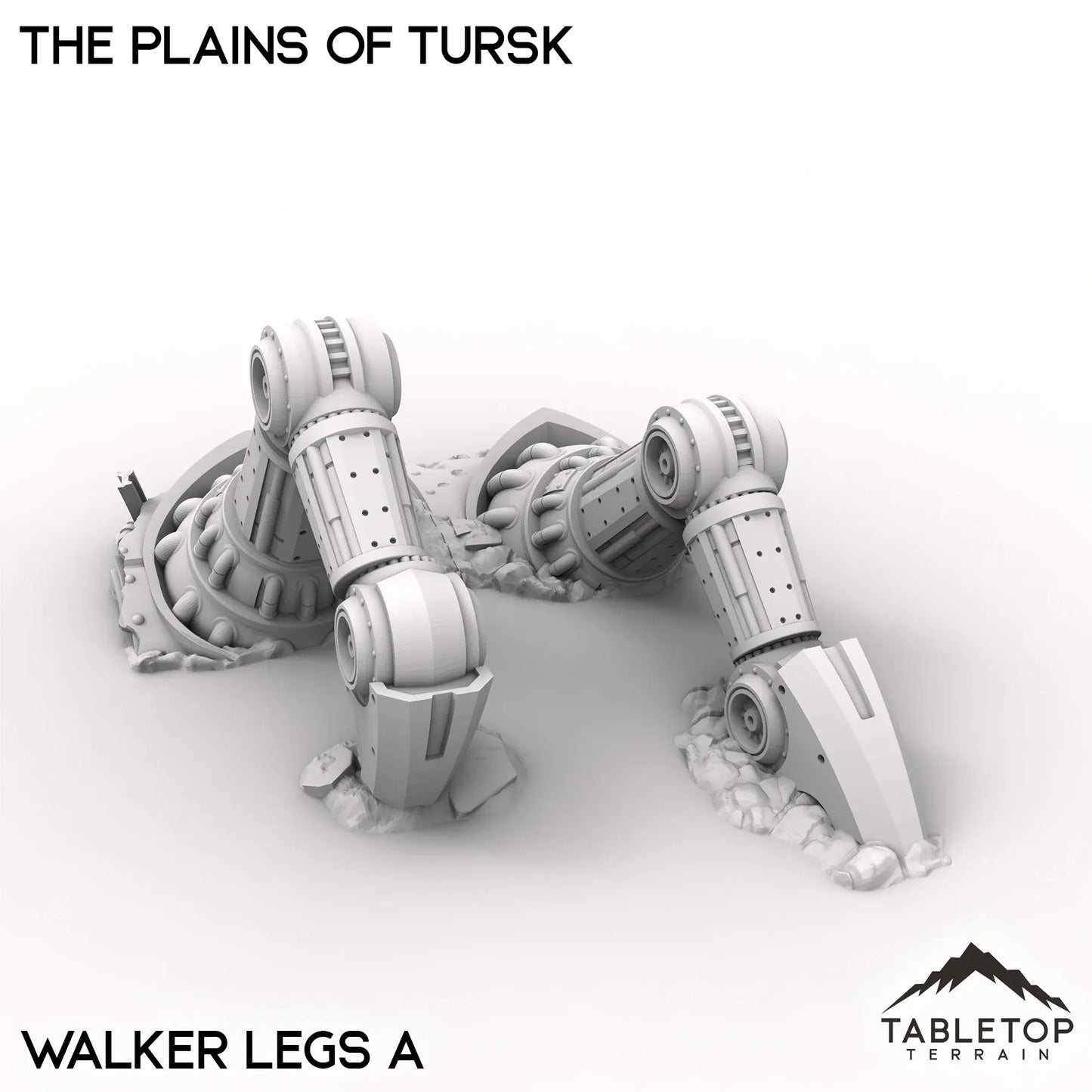 The Plains of Tursk
