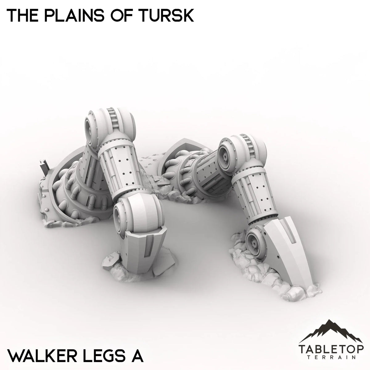 The Plains of Tursk