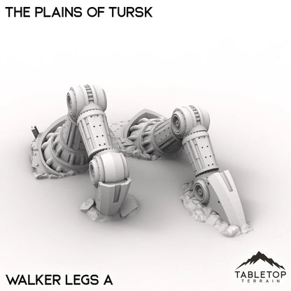 The Plains of Tursk