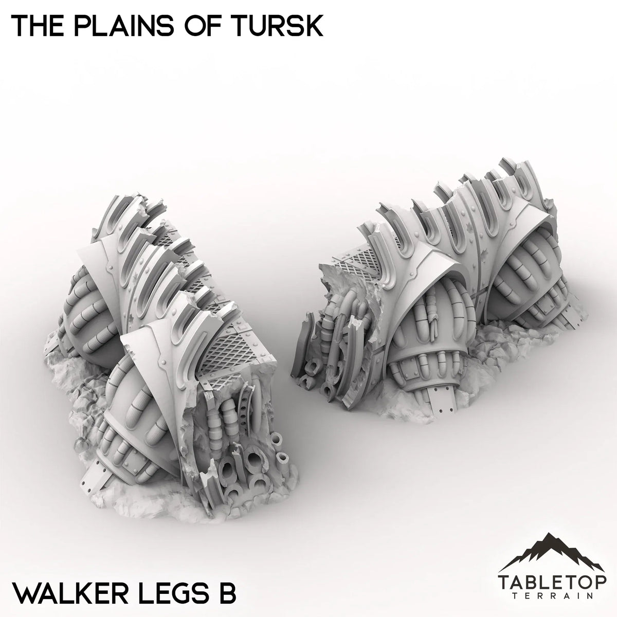 The Plains of Tursk