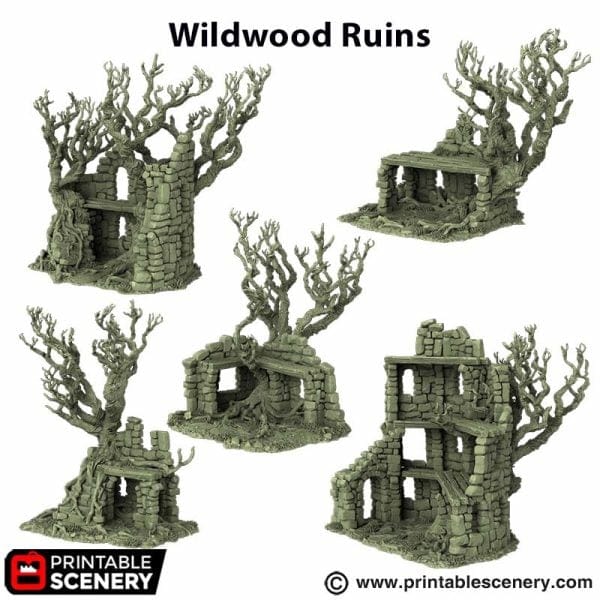 Wildwood Ruins - The Gloaming Swamp